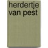 Herdertje van pest