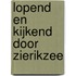 Lopend en kijkend door Zierikzee