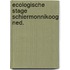 Ecologische stage schiermonnikoog ned.