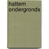 Hattem Ondergronds