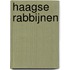Haagse rabbijnen
