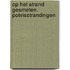 Op het strand gesmeten. Potvisstrandingen