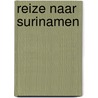 Reize naar Surinamen by Stedman
