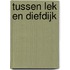 Tussen Lek en Diefdijk