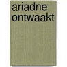 Ariadne ontwaakt door Schaefer