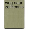 Weg naar zelfkennis by Rudolf Steiner