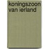 Koningszoon van ierland