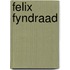 Felix fyndraad