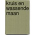 Kruis en wassende maan