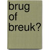 Brug of breuk? door Anissa Akhandas
