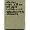 Catalogus Plagiaulacidorum cum figuris (Multituberculata suprajurassica et subcretacea) door R. Hahn