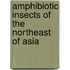 Amphibiotic insects of the northeast of Asia