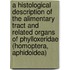 A histological description of the alimentary tract and related organs of Phylloxeridae (Homoptera, Aphidoidea)