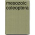 Mesozoic coleoptera