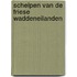 Schelpen van de friese waddeneilanden