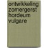 Ontwikkeling zomergerst hordeum vulgare