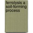 Ferrolysis a soil-forming process
