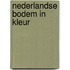 Nederlandse bodem in kleur