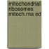 Mitochondrial ribosomes mitoch.rna ed