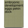 Embryonic development eggs pekin dock by Kaltofen