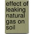 Effect of leaking natural gas on soil