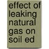 Effect of leaking natural gas on soil ed