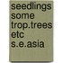 Seedlings some trop.trees etc s.e.asia