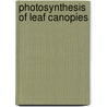 Photosynthesis of leaf canopies door Wit