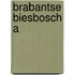 Brabantse biesbosch a