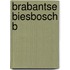 Brabantse biesbosch b