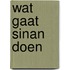 Wat gaat Sinan doen