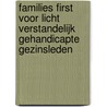 Families first voor licht verstandelijk gehandicapte gezinsleden door T. Jochemsen