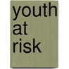 Youth at risk door Y. Booij