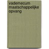 Vademecum maatschappelijke opvang door Onbekend