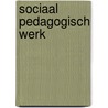 Sociaal pedagogisch werk by H. Hens