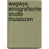 Wegwys etnografische studie thuislozen