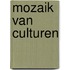 Mozaik van culturen