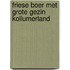 Friese boer met grote gezin kollumerland