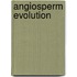 Angiosperm evolution