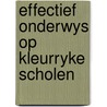 Effectief onderwys op kleurryke scholen by Sarah Wolf