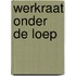 Werkraat onder de loep