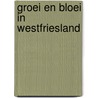 Groei en bloei in Westfriesland by R. Stokkers
