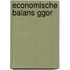 Economische balans GGOR