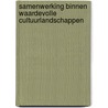 Samenwerking binnen waardevolle cultuurlandschappen door M. Borgstein