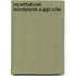 Repetitieboek handelsrek.suppl.uitw.
