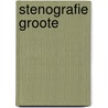Stenografie groote by Kees Bruin