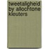 Tweetaligheid by allochtone kleuters