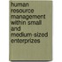 Human resource management within small and medium-sized enterprizes