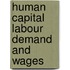 Human capital labour demand and wages