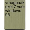 Vraagbaak Exel 7 voor Windows 95 door Onbekend